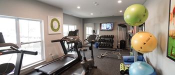 Professionally Equipped Fitness Center at Panton Mill Station Apartments,J Street Property Services, LLC , South Elgin, IL, 60177